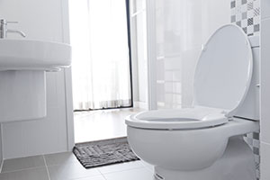 The Toilet is Blocked? What Can You do?