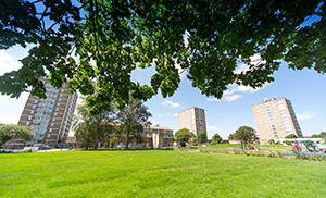 Leading Heat Pump Manufacturer Responds to Committee for Climate Change’s Call for New-Build Homes